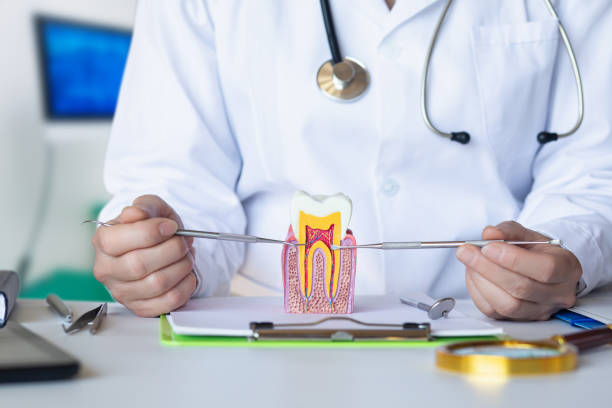 Best Emergency Dental Surgery in Reisterstown, MD